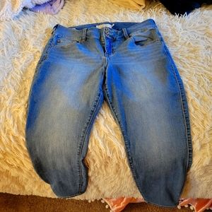 Torrid jeans